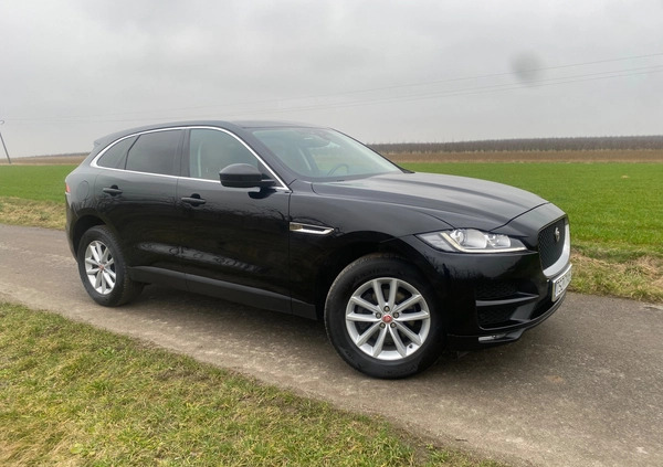 Jaguar F-Pace cena 79999 przebieg: 186000, rok produkcji 2016 z Staszów małe 704